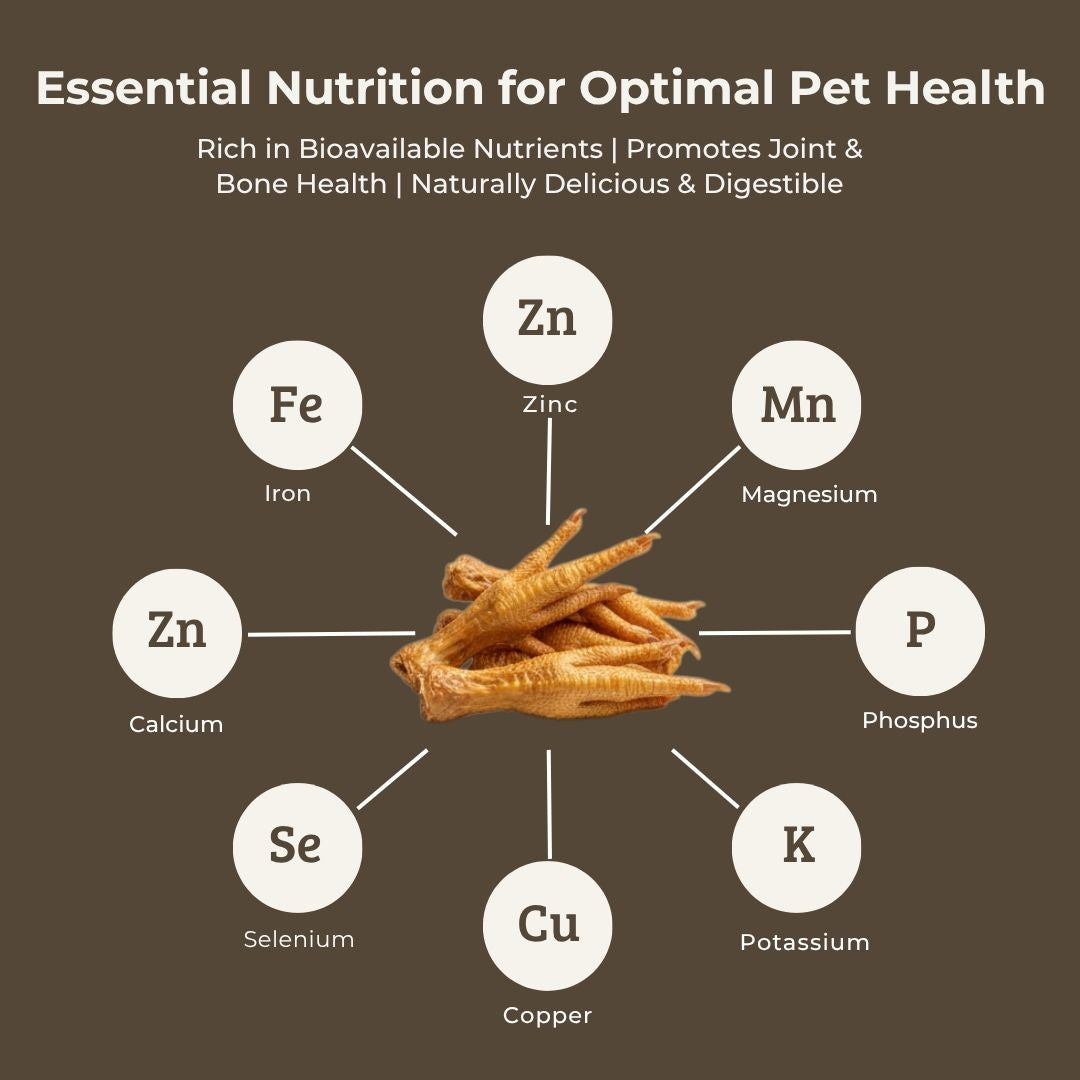 Dehydrated Chicken Feet | 80g