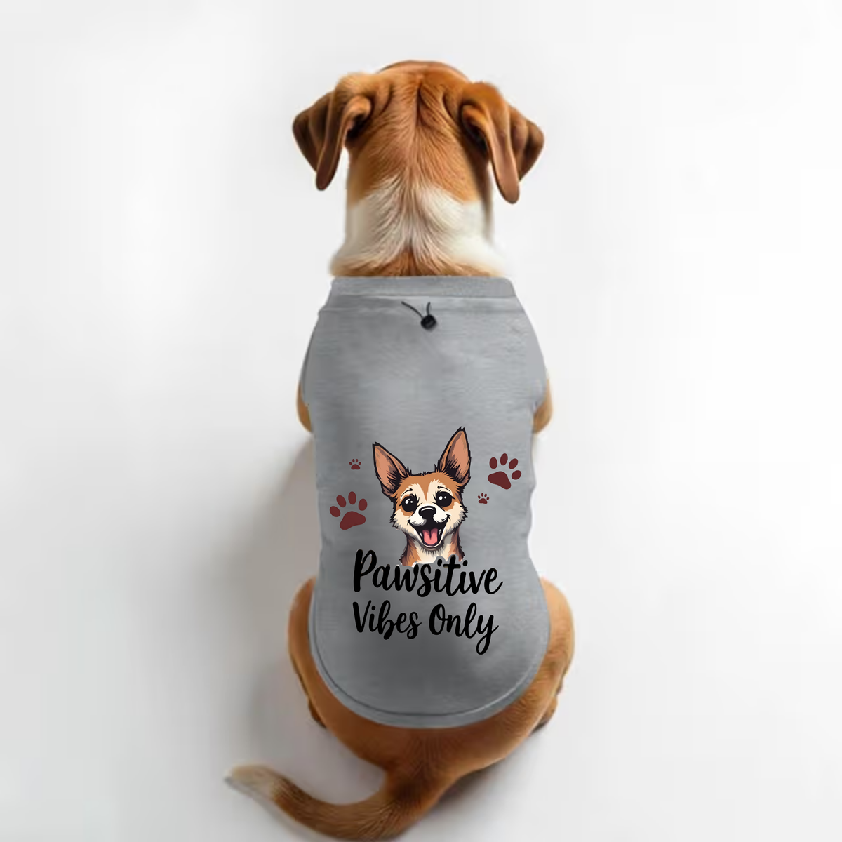 Vritus Pawsitive vibes only Tshirt - Grey