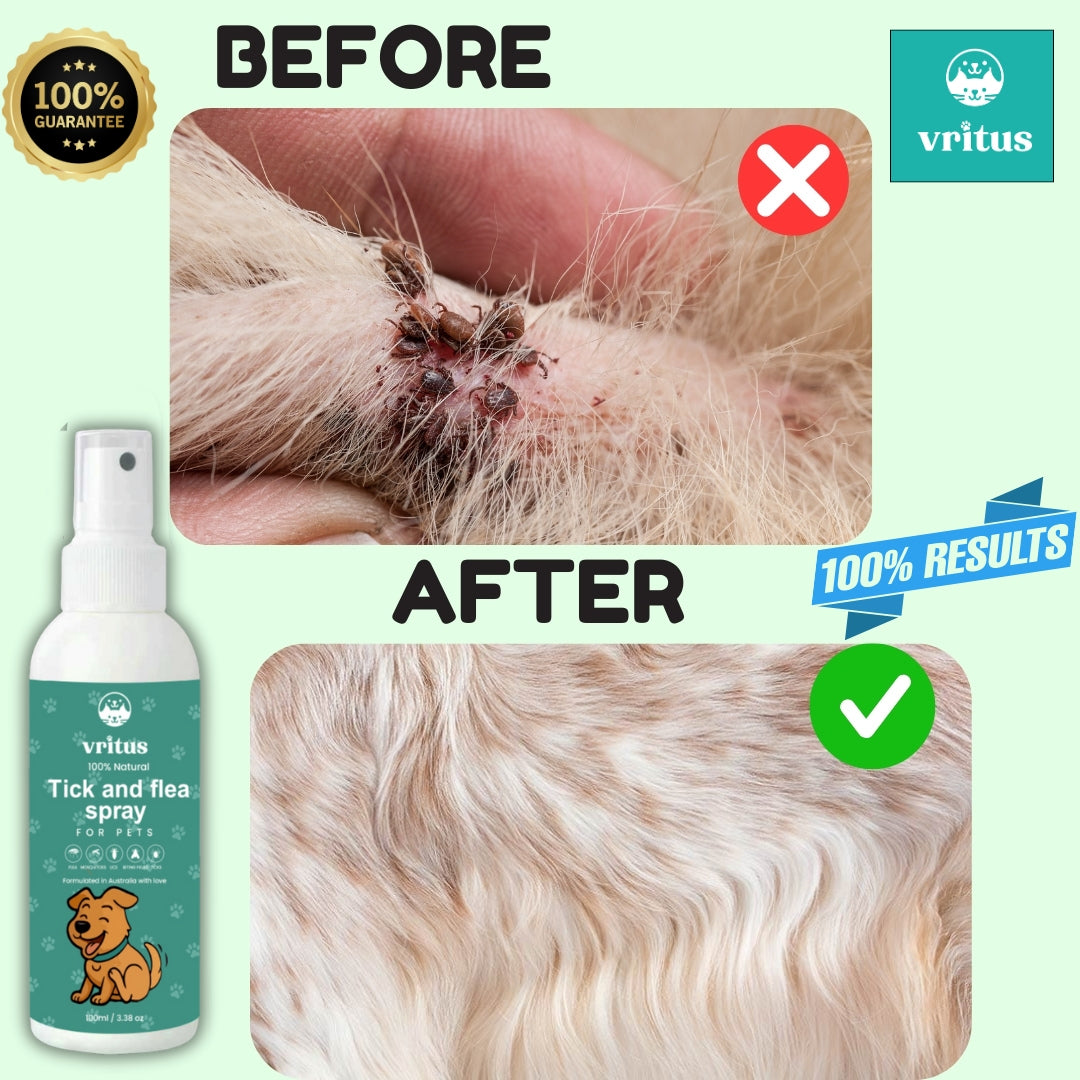 Vritus Tick & Flea Care Combo