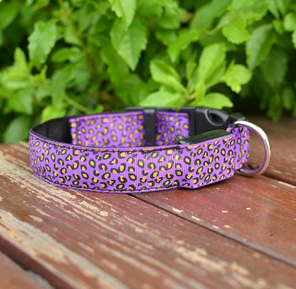 Rechargeable LED Pet Collar