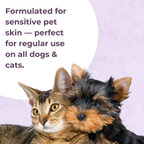 Tick and Flea Shampoo | 200ml