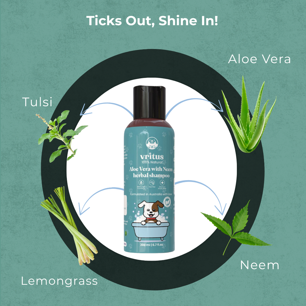 Aloe Vera With Neem Herbal Shampoo
