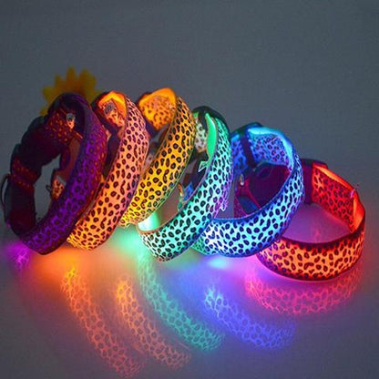 Rechargeable LED Pet Collar