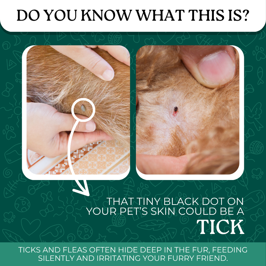 Tick and Flea Spray + Powder Combo