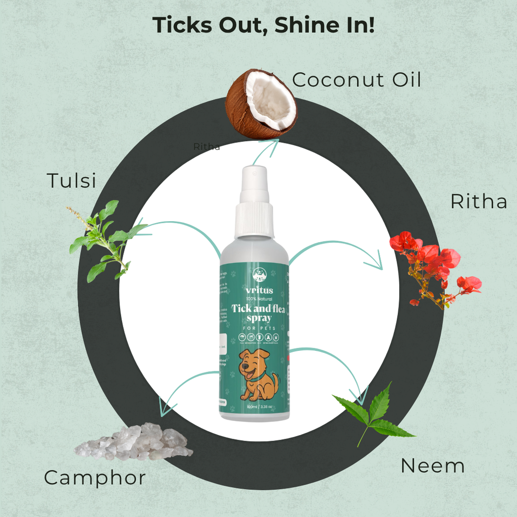 Tick and Flea Spray + Powder Combo