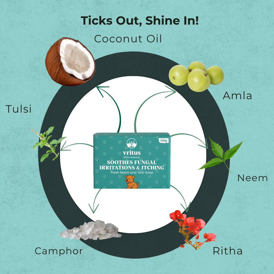 Vritus Tick & Flea Care Combo
