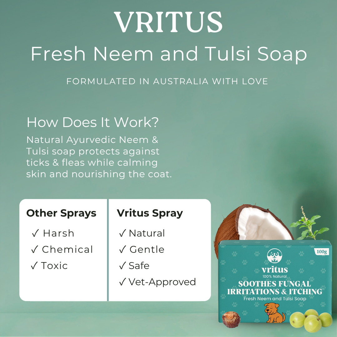 Fungal Irritation & Itching Soap | 100g