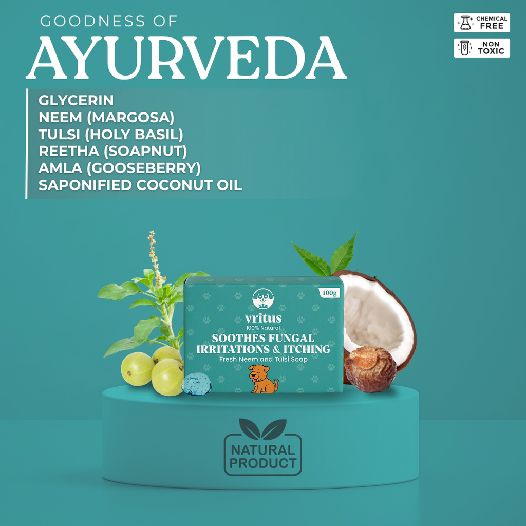 Fungal Irritation & Itching Soap | 100g