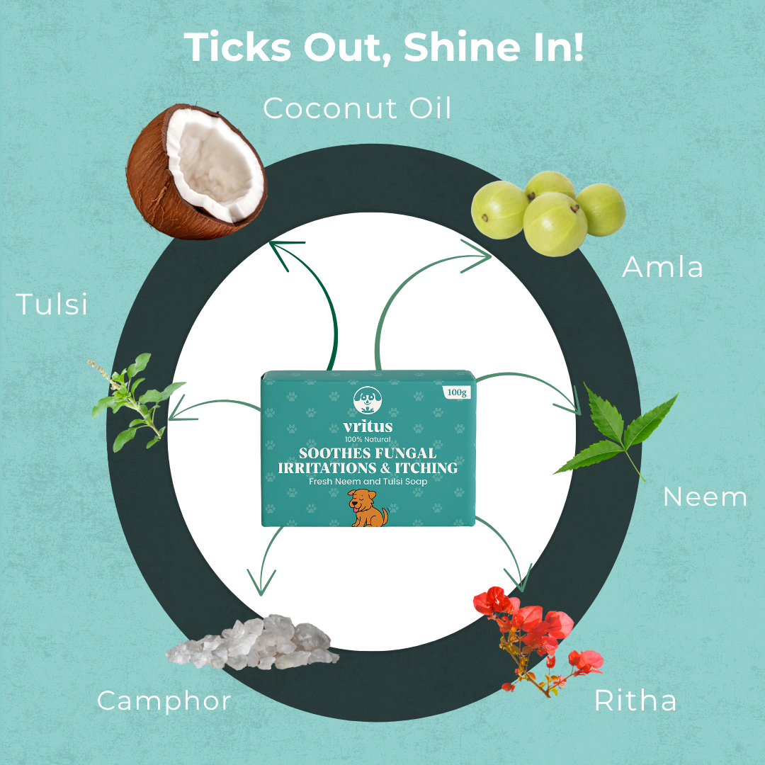 Fungal Irritation & Itching Soap | 100g