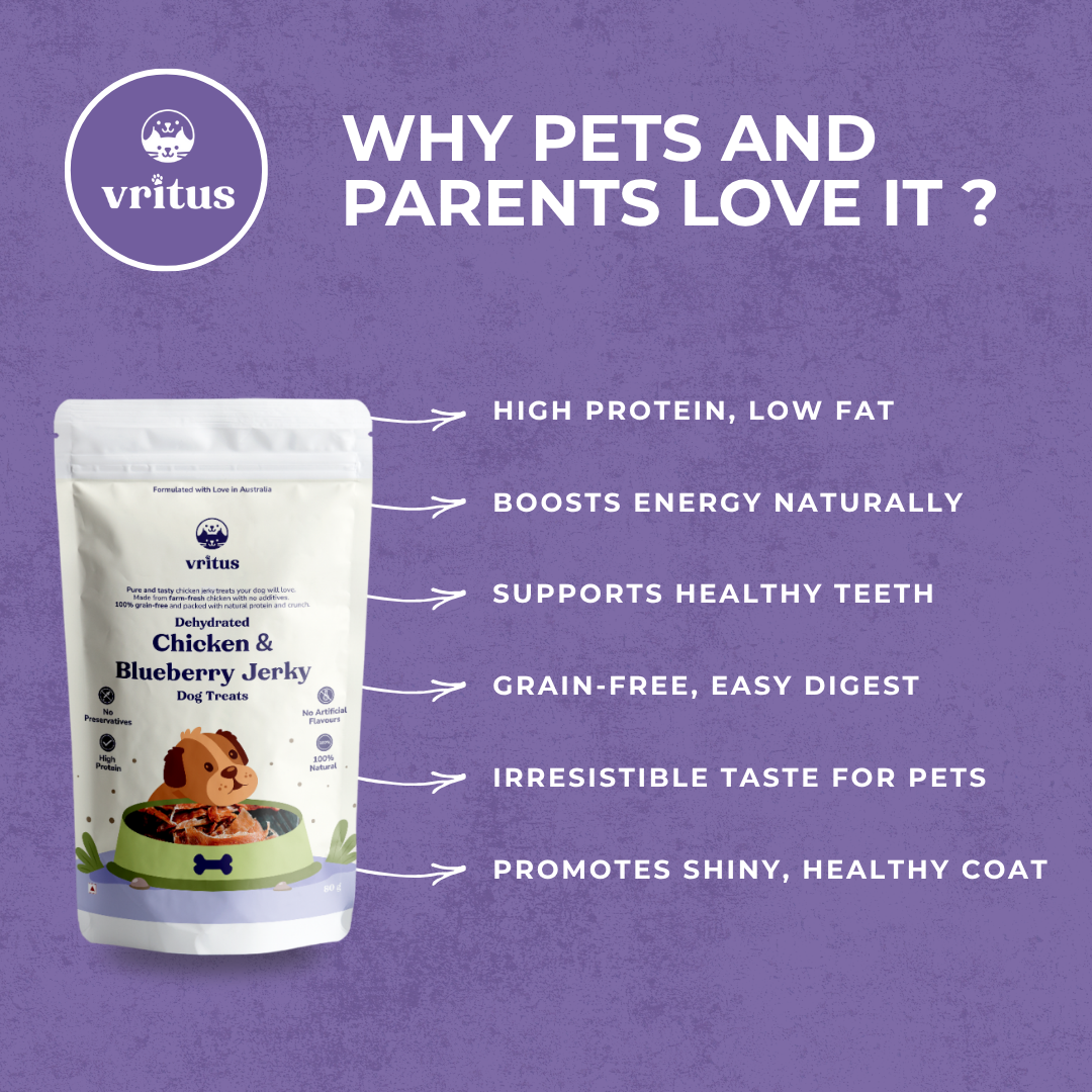 Chicken Jerky | Blueberry Flavour