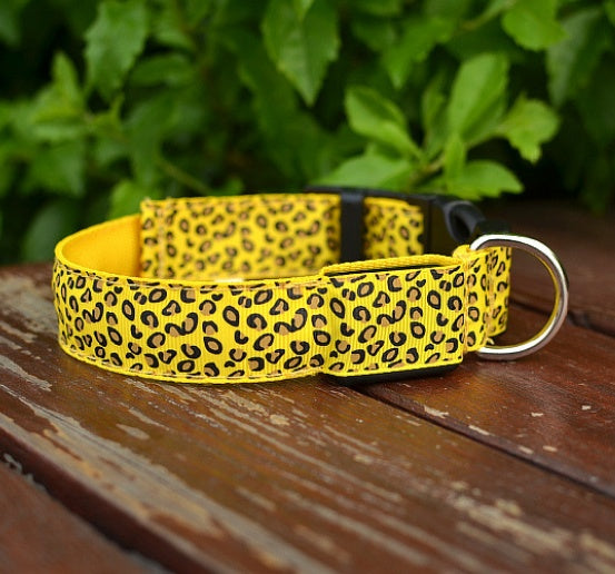 Rechargeable LED Pet Collar