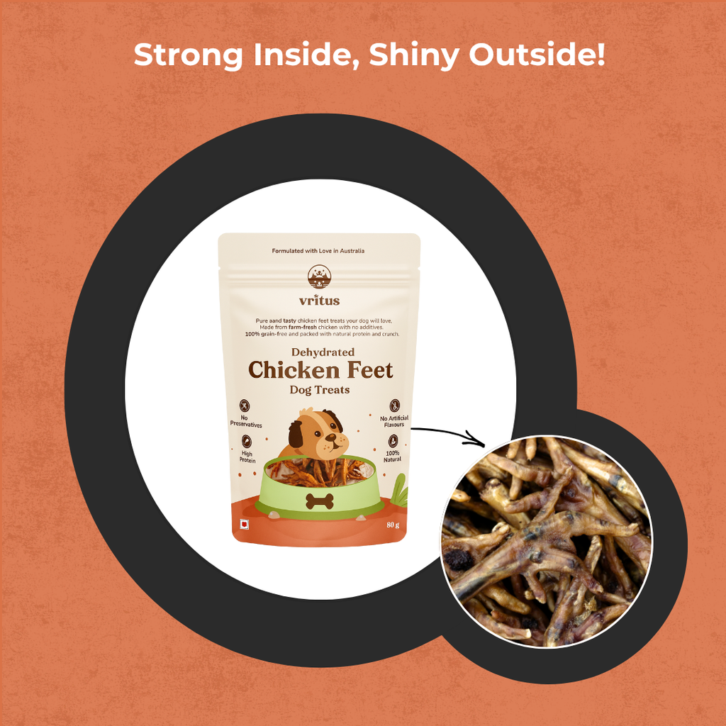 Chicken Heart + Chicken Liver + Chicken Blueberry Jerkey	+ Chicken Cheese Jerkey | Pack of 4