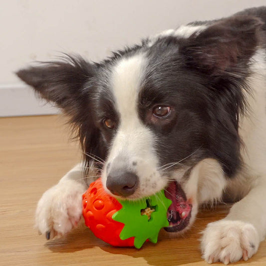Strawberry Treat Dispensing Dog Toy