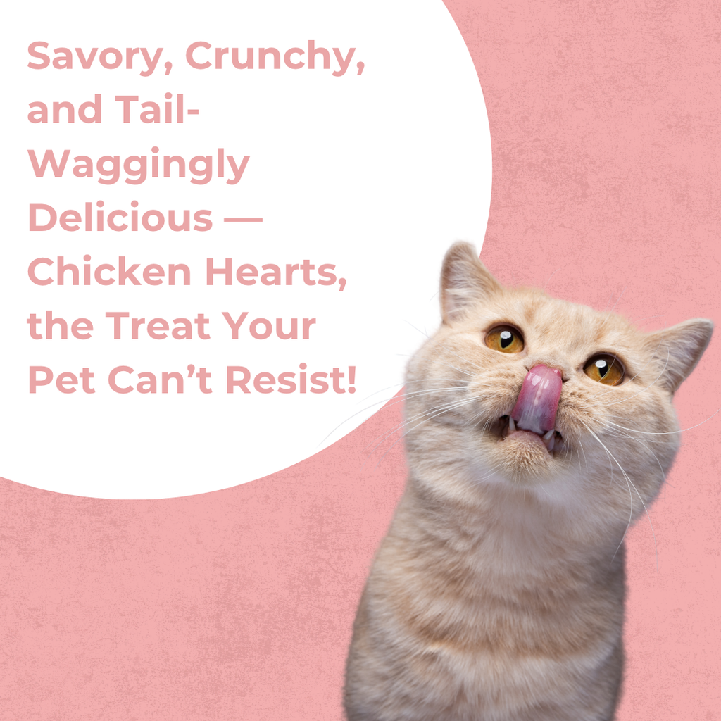 Chicken Heart | Cat Treat | 60g