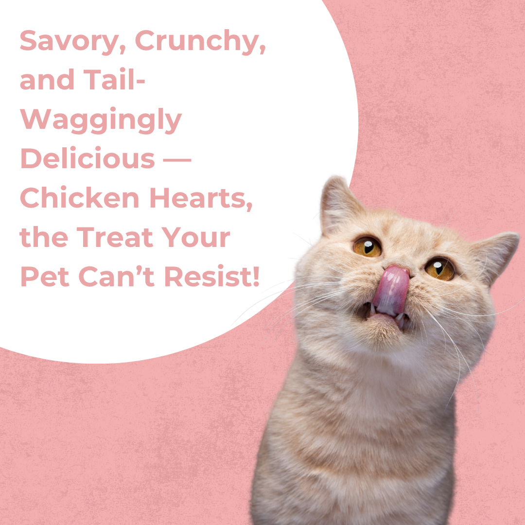 Chicken Heart | Cat Treat | 60g