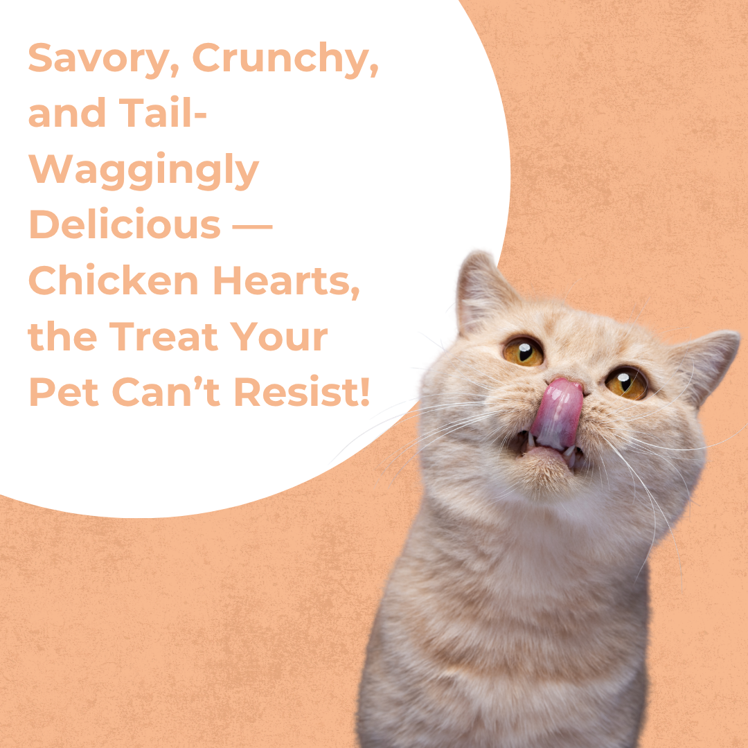 Chicken Heart | Cat Treat | 60g