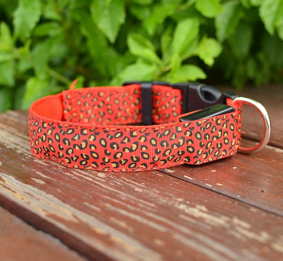 Rechargeable LED Pet Collar