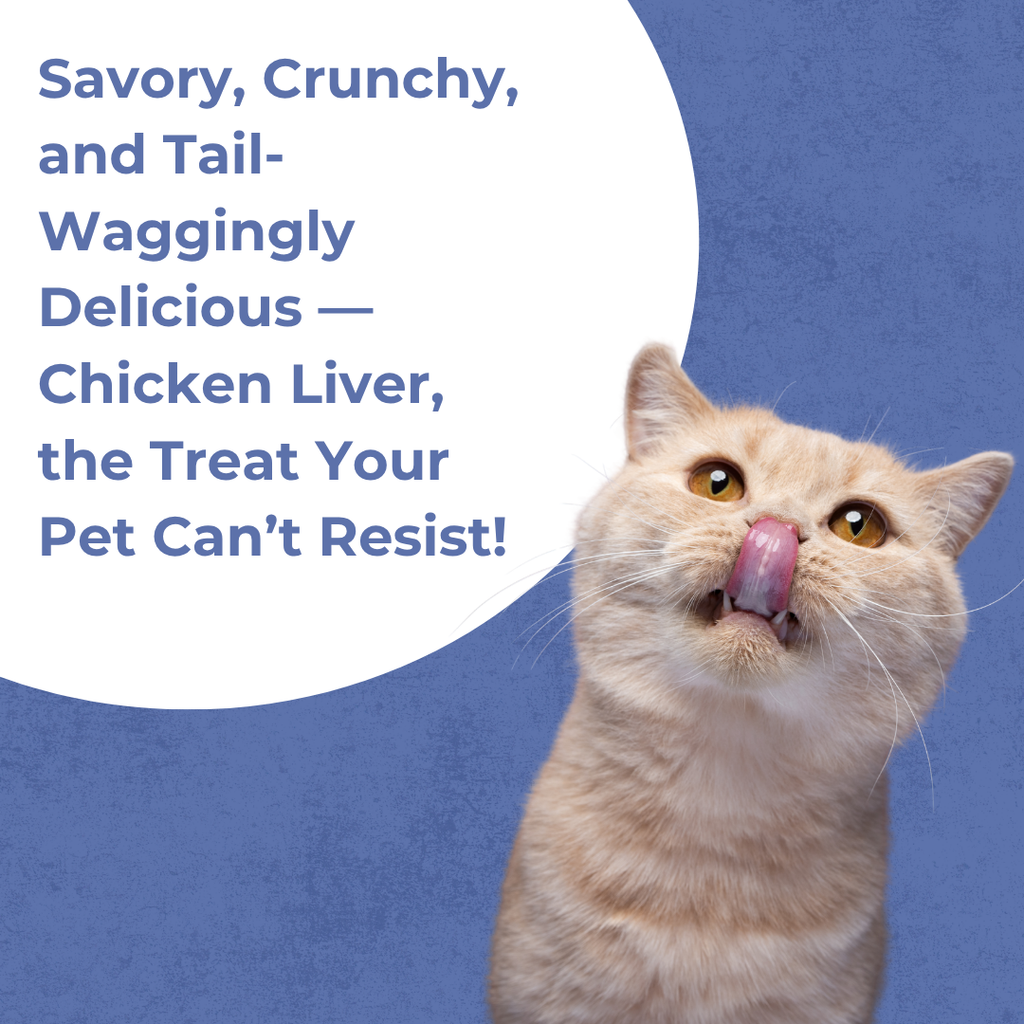 Chicken Liver | Cat Treat | 60g