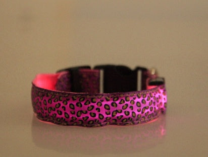 Rechargeable LED Pet Collar