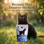 Chicken Liver | Cat Treat | 60g