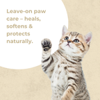 Vritus Paw Cream | 50g