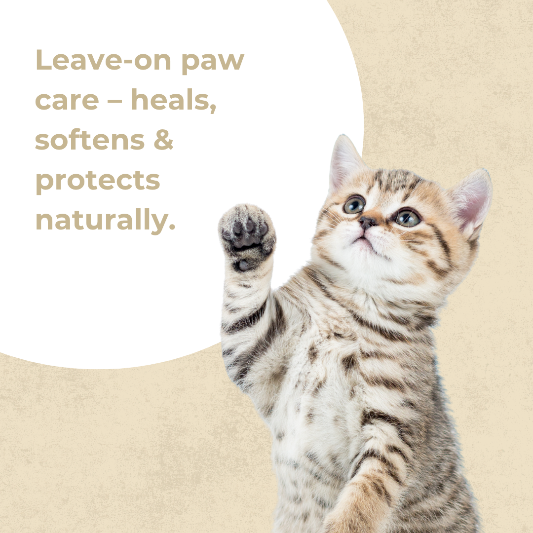 Vritus Paw Cream | 50g