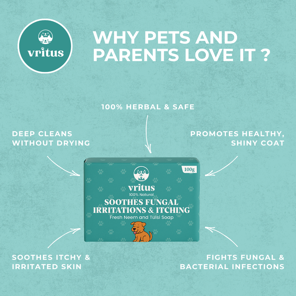 Fungal Irritation & Itching Soap | 100g