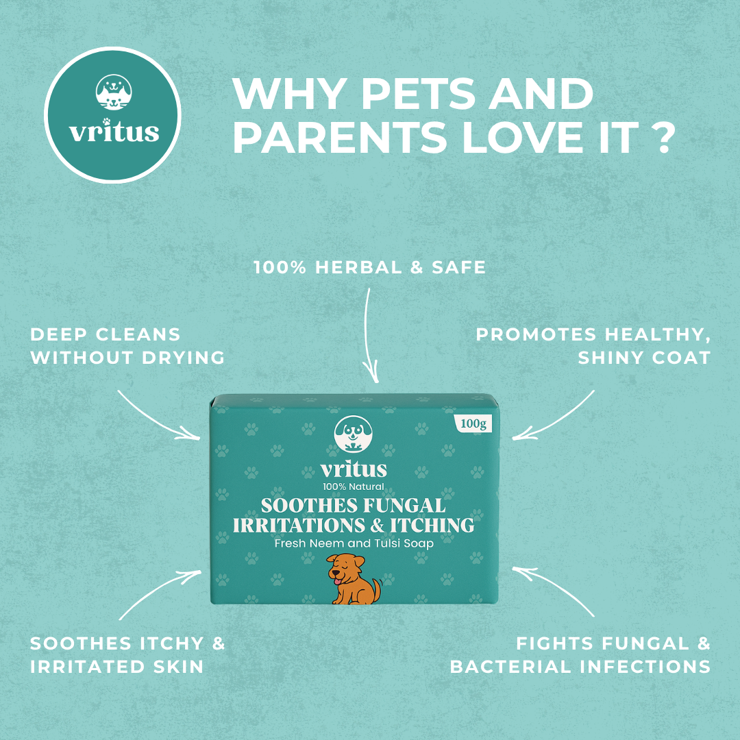 Fungal Irritation & Itching Soap | 100g