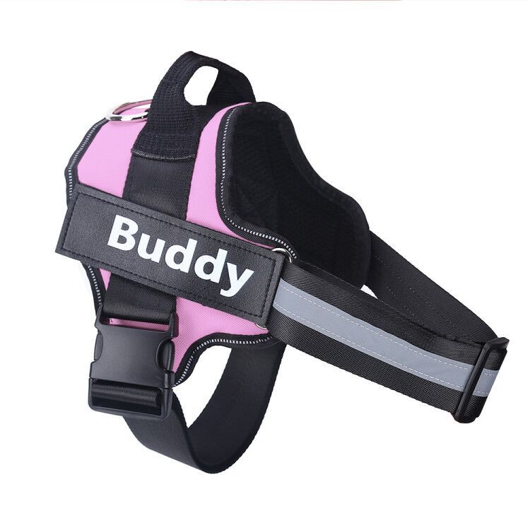Personalized No-Pull Dog Harness with Custom Name Tag