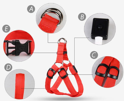 LED Rechargeable Dog Harness