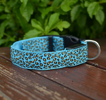 Rechargeable LED Pet Collar