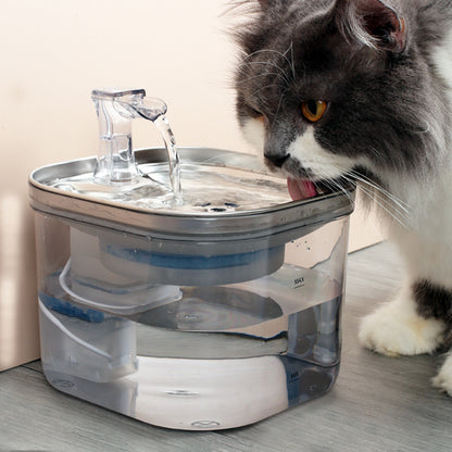 Transparent Pet Water Fountain