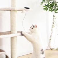Automatic Hanging Cat Toy