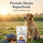 Chicken Jerky | Blueberry Flavour