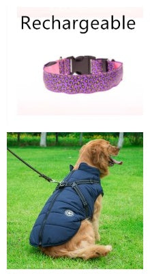 Rechargeable LED Pet Collar