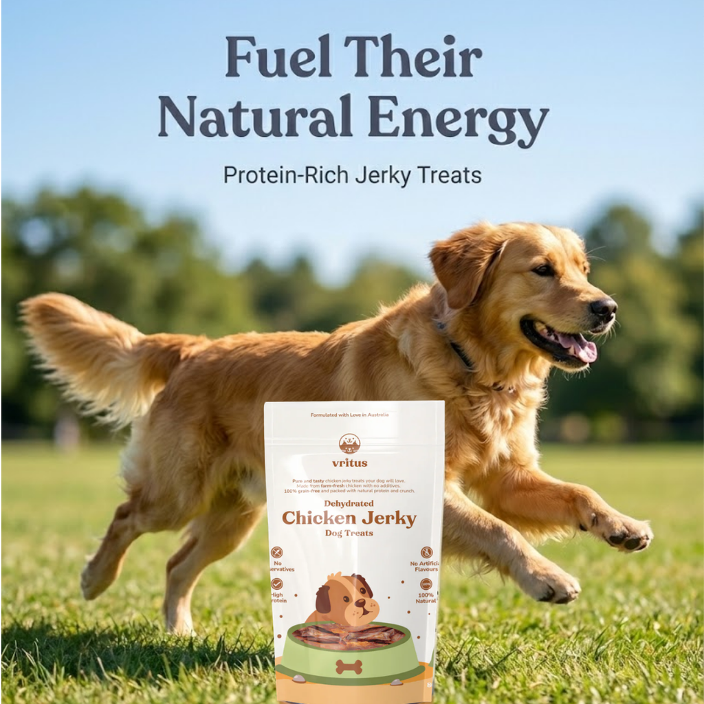 Chicken Jerky | 80G