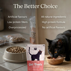 Chicken Bitss | Cat Treat | 60g
