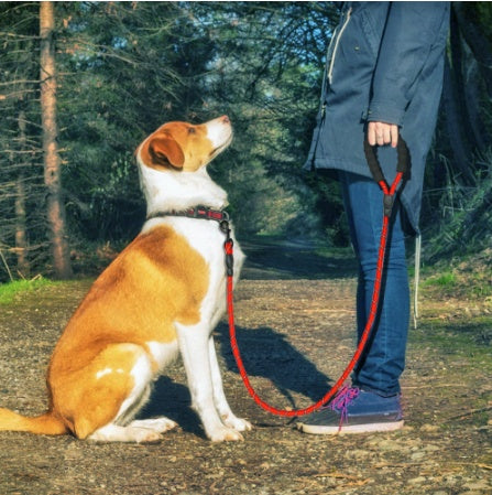 Durable Anti-Pull Dog Leash