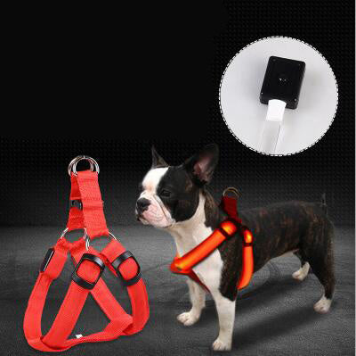 LED Rechargeable Dog Harness
