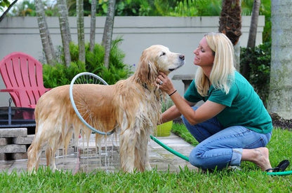 Woof Washer 360