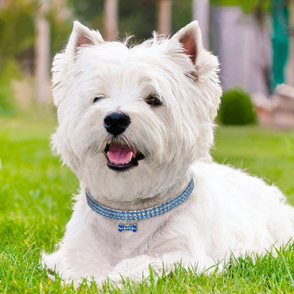 GlamBone™ Crystal Pet Collar