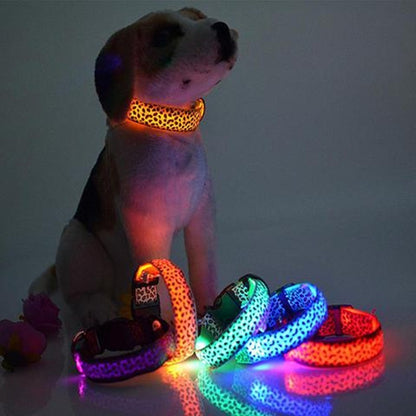 Rechargeable LED Pet Collar