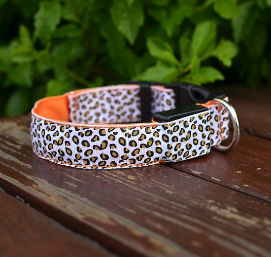 Rechargeable LED Pet Collar