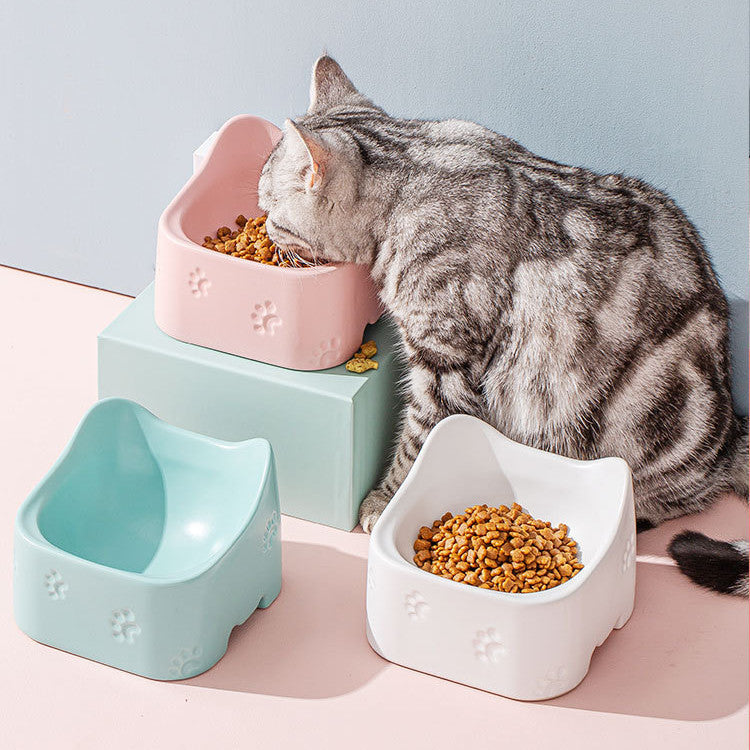 Ceramic Pet Bowl with Anti-Spill Design