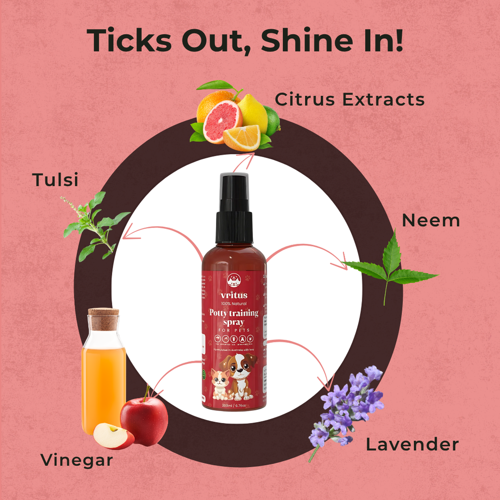 Vritus Potty Training Spray