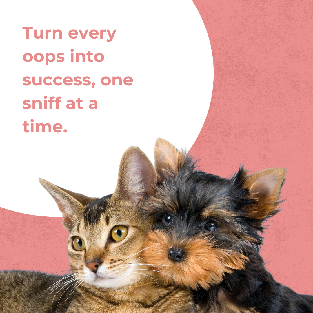 Vritus Potty Training Spray