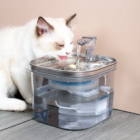 Transparent Pet Water Fountain