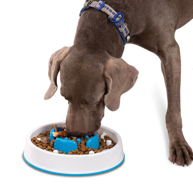 Truelove Anti-Gulping Pet Slow Feeder Bowl