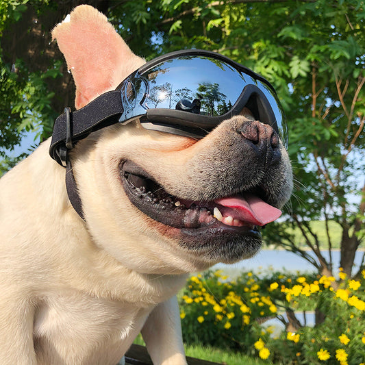 UV-Protective Dog Sunglasses