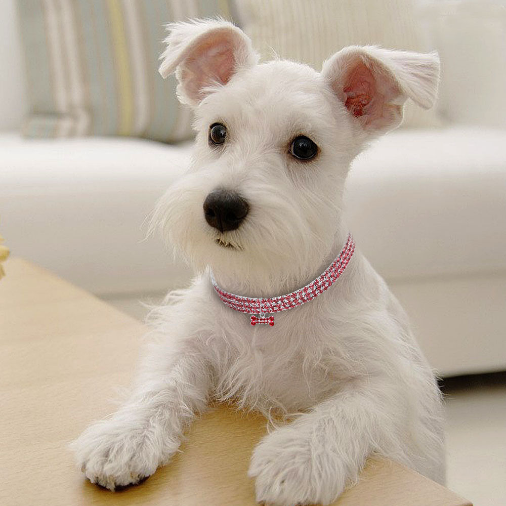 GlamBone™ Crystal Pet Collar